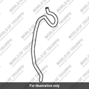Hose, Evap Valve (T1241289)
