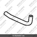 Hose, Evap, Canister (T1241290)