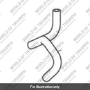 Hose, Evap (T1241518)