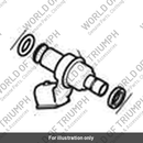 Fuel Injector (T1241708)