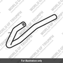 Hose, Map, Cyl 1 (T1241729)
