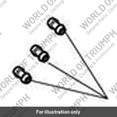 Restrictor, Purge, Evap (T1241890)