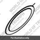 Intake Seal (T1241996)