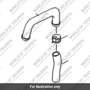 PIPE, 8.0mm x 1.0 (T1242056)