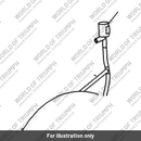 Tube assembly (T1242110)