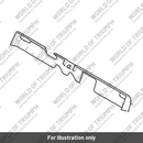 Cover, Fuel Rail (T1242121)