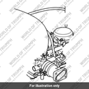 Hose (T1242528)