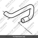 Hose, Evap, Purge (T1242573)