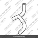 Hose, Evap (T1242578)