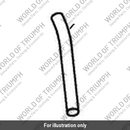 Hose, Evap, Vent (T1242586)