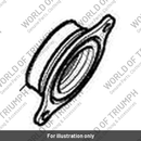 Adapter, Throttle Body, LHS (T1243151)