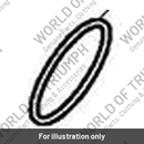 O-Ring, Dia 55.25 x 2.62, Viton (T1243515)