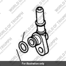 O Ring, Injector (T1244024)