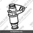 Fuel Injector (T1245005)