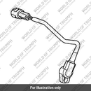 Throttle pos sensor, secondary (T1245010)