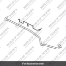 Formed Hose, Can to Purge (T1245099)
