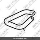 Evap Hose, Cyl 2 (T1245497)