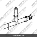 Fuel Rail (T1245503)