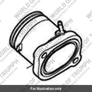 Adaptor, Throttle Body, Long (T1245520)