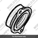 Adapter, Throttle Body, RHS (T1246501)