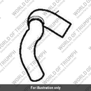 Hose, Sai, Solenoid To Airbox (T1250006)