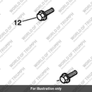 Cover, Reed Valve, RH (T1250035)