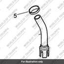 Pipe assembly (T1250050)