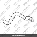 Hose, SAI, Airbox (T1250071)