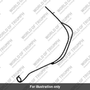 Hose (T1250168)