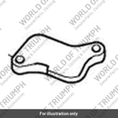 Blanking Plate (T1250800)
