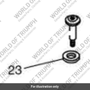 Screw (T1260091)
