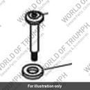Screw (T1260093)