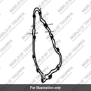 Gasket, Alternator Cover (T1260262)