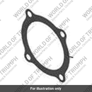 Balancer Cover Gasket (T1260267)