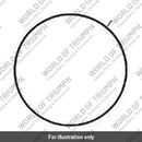 Washer, Cap, Nylon (T1260568)