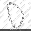 Gasket, Alternator Cover (T1260661)