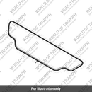 Decal, Cam Cover (T1260743)