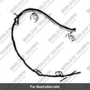 Cover rh (T1260853)