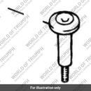 Screw (T1260860)