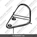 Bracket (T1261012)