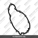 Gasket, Alternator Cover (T1261092)