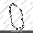 Gasket, Breather Cover (T1261094)