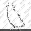 Gasket, Alternator Cover (T1261109)
