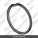 Seal (T1261151)