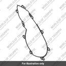Gasket, Alternator Cover (T1261254)