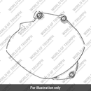 Sprocket Cover, Chrome (T1262212)