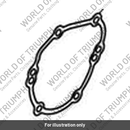 Gasket, Starter Drive Cover (T1264050)