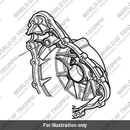 Alternator Cover (T1265492)