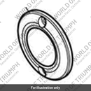 Badge, ACG, Brushed (T1266464)