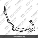 Gasket, Alternator Cover (T1267900)
